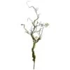24in. Moss Twig Vine Plant, 6ct.
