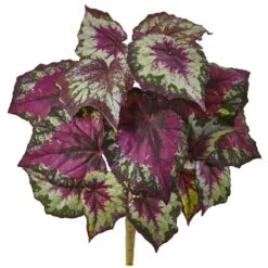 16" Begonia Bush, 6ct. -Michaels Shop D262898S 11 1