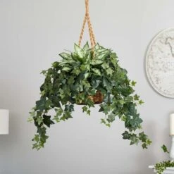2.5ft. Silver Queen And Ivy Plant In Hanging Basket -Michaels Shop D262939S 13