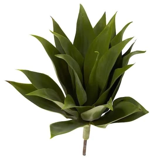 Agave Plant Spikes, 2ct. 3 Agave Plant Spikes, 2ct. - Image 3