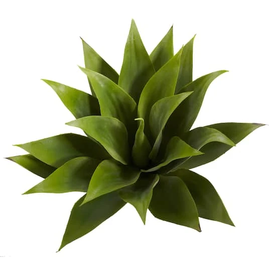 Agave Plant Spikes, 2ct. 4 Agave Plant Spikes, 2ct. - Image 4