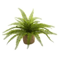 15" Boston Fern With Burlap Planter, 2ct. -Michaels Shop D262984S 14