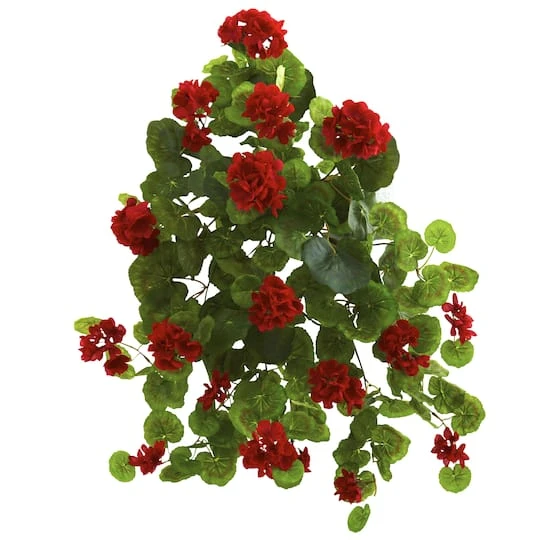 Red Geranium Bush, 2ct. 2 Red Geranium Bush, 2ct. - Image 2