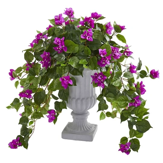 2ft. Purple Bougainvillea In Decorative Urn 1 2ft. Purple Bougainvillea In Decorative Urn