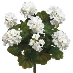 White Water-Resistant Geranium Bush