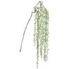 Soft Touch Green Senecio Hanging Spray