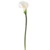 White Calla Lily Stem