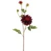 Burgundy Garden Dahlia Spray