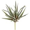 Soft Touch Green Spiky Wide Aloe Pick