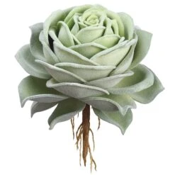 6.3" Green Rose Echeveria Pick