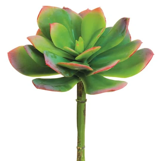 Green & Pink Echeveria Pick 2 Green & Pink Echeveria Pick - Image 2