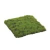 Square Moss Sheet, 12" X 12"