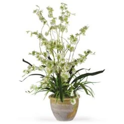 2ft. Green Dancing Lady Orchid Arrangement In Ceramic Vase