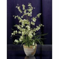 2ft. Green Dancing Lady Orchid Arrangement In Ceramic Vase -Michaels Shop D292608S 12