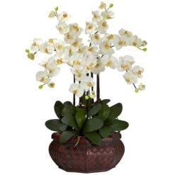 2.5ft. Potted Large Moth Orchid Arrangement, Cream 5 2.5ft. Potted Large Moth Orchid Arrangement, Cream -Michaels Shop D292664S 11 1