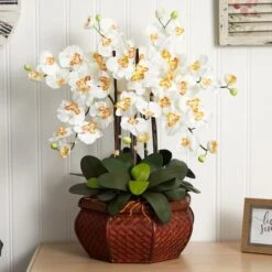 2.5ft. Potted Large Moth Orchid Arrangement, Cream 6 2.5ft. Potted Large Moth Orchid Arrangement, Cream -Michaels Shop D292664S 12