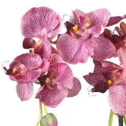 18" Moth Orchid Arrangement In Glass Vase -Michaels Shop D292700S 12