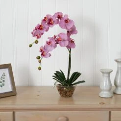 18" Moth Orchid Arrangement In Glass Vase -Michaels Shop D292700S 15