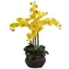 2.5ft. Yellow Moth Orchid Arrangement With Decorative Vase