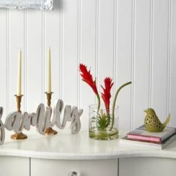 16" Red Star Bromeliad Arrangement In Glass Vase -Michaels Shop D292798S 3