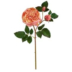 Peach & Pink Rose Stem, 6ct.