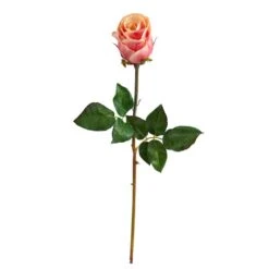 Peach & Pink Rose Bud Stem, 6ct.