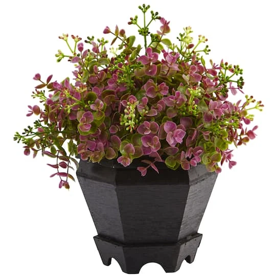 13in. Sedum & Eucalyptus Plant In Black Hexagon Planter 2 13in. Sedum & Eucalyptus Plant In Black Hexagon Planter - Image 2