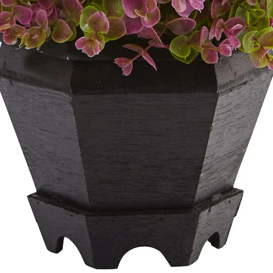 13in. Sedum & Eucalyptus Plant In Black Hexagon Planter 4 13in. Sedum & Eucalyptus Plant In Black Hexagon Planter - Image 4