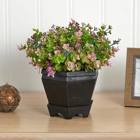 13in. Sedum & Eucalyptus Plant In Black Hexagon Planter 6 13in. Sedum & Eucalyptus Plant In Black Hexagon Planter - Image 6