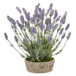 20in. Lavender Plant In Weathered Oak Planter