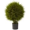 2.5ft. Potted Cedar Ball Topiary