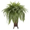 3ft. Boston Fern Plant In Stand