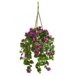 2.5ft. Bougainvillea In Woven Planter