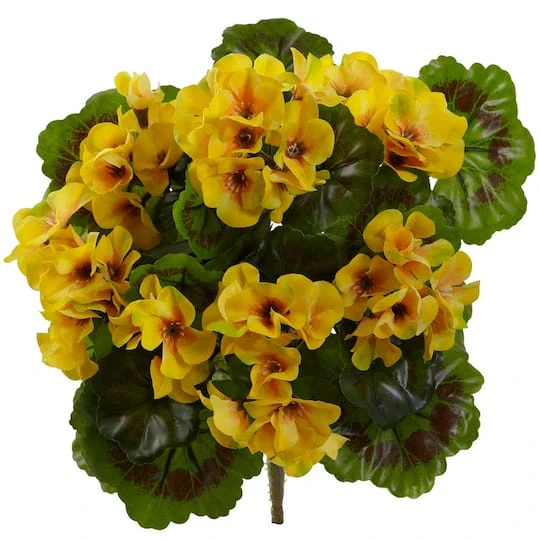Yellow Geranium Bush, 4ct. 1 Yellow Geranium Bush, 4ct.