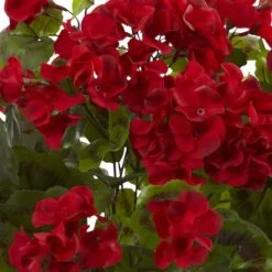 Red Geranium Bush, 3ct. -Michaels Shop D293880S 2