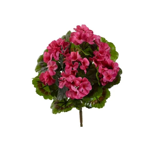 Pink Geranium Bush, 4ct. 2 Pink Geranium Bush, 4ct. - Image 2