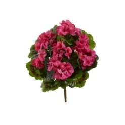 Pink Geranium Bush, 4ct.