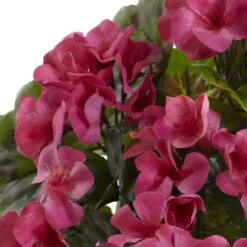 Pink Geranium Bush, 4ct. 9 Pink Geranium Bush, 4ct. -Michaels Shop D293881S 12