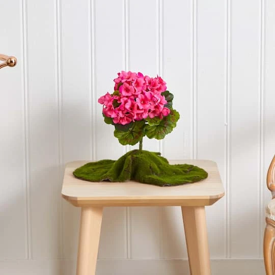 Pink Geranium Bush, 4ct. 6 Pink Geranium Bush, 4ct. - Image 6