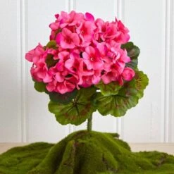 Pink Geranium Bush, 4ct. 13 Pink Geranium Bush, 4ct. -Michaels Shop D293881S 16