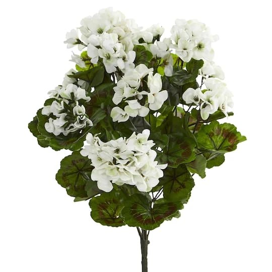White Geranium Bush, 3ct. 2 White Geranium Bush, 3ct. - Image 2
