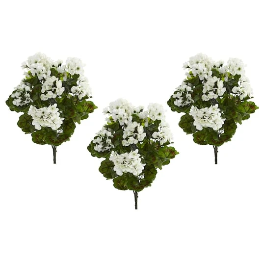 White Geranium Bush, 3ct. 3 White Geranium Bush, 3ct. - Image 3