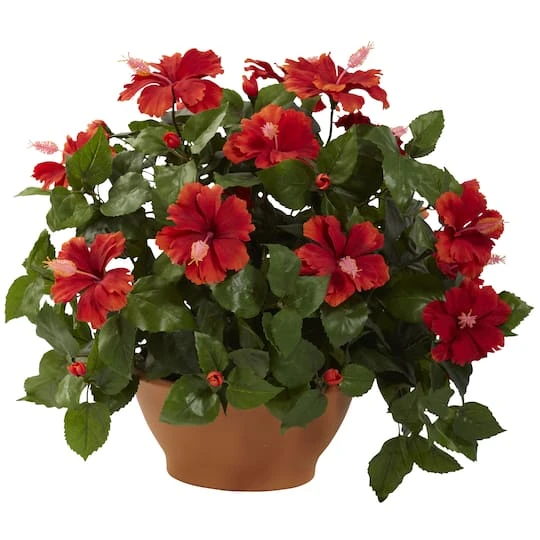 20" Red Hibiscus Plant With Clay Planter 2 20" Red Hibiscus Plant With Clay Planter - Image 2