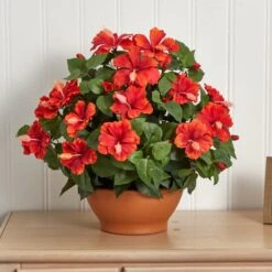 20" Red Hibiscus Plant With Clay Planter 7 20" Red Hibiscus Plant With Clay Planter -Michaels Shop D293901S 13