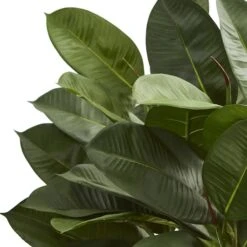 23" Potted Oak Ficus -Michaels Shop D293929S 12