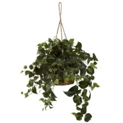 24" Philo In Hanging Basket