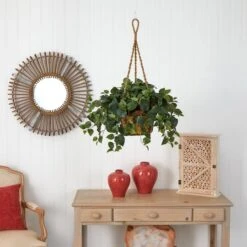 24" Philo In Hanging Basket 11 24" Philo In Hanging Basket -Michaels Shop D293935S 15