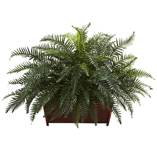 2.5ft. River Fern In Wood Planter 2 2.5ft. River Fern In Wood Planter - Image 2