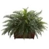 2.5ft. River Fern In Wood Planter