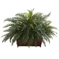 2.5ft. River Fern In Wood Planter